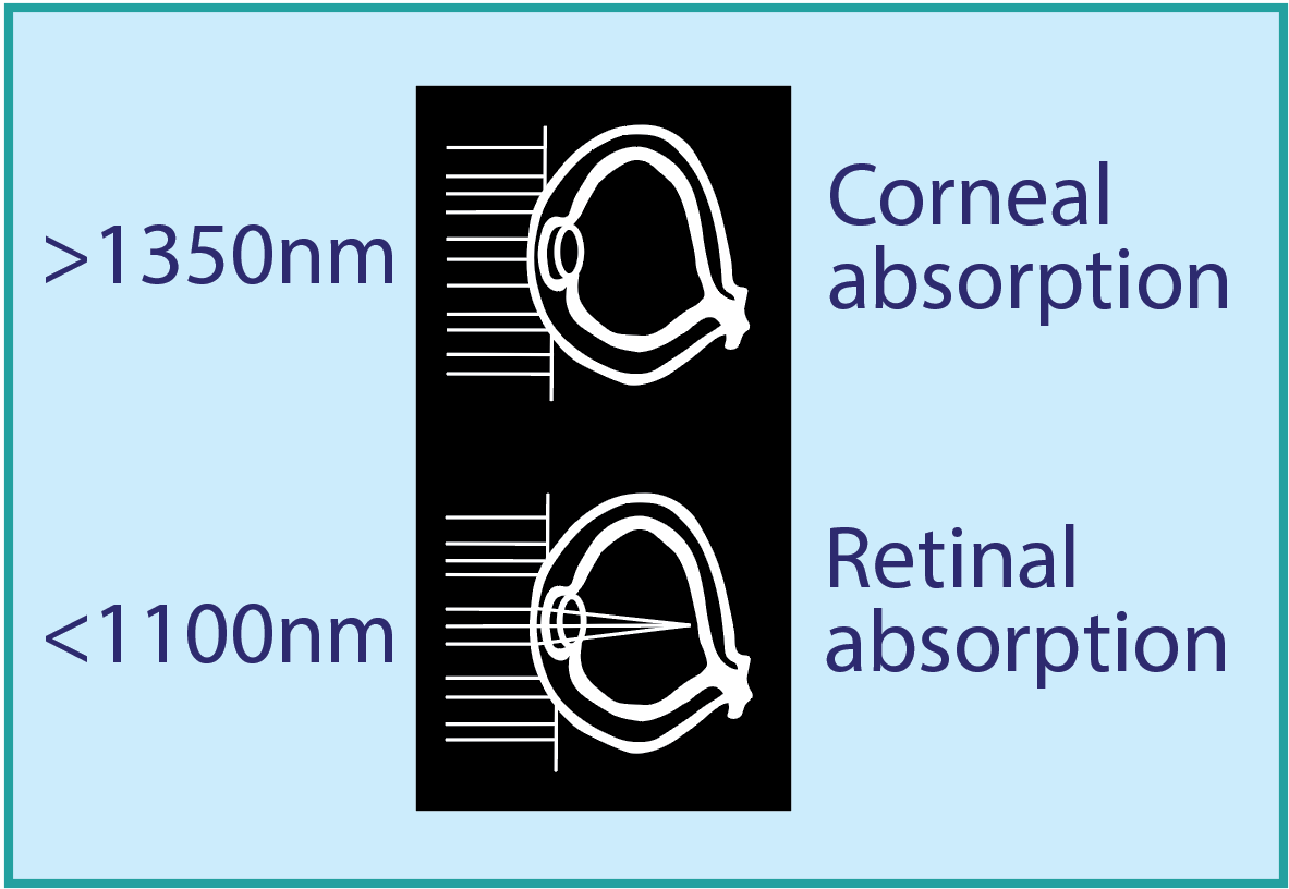 Eye Absorption