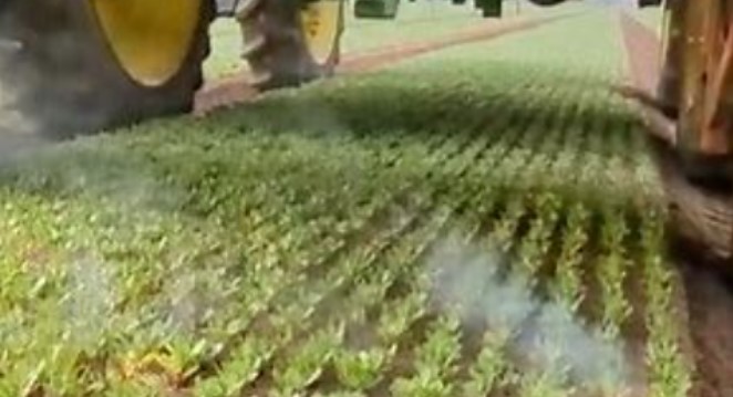 Revolutionizing Agriculture: The Sustainable Approach of Laser Weeding and Pesticide Elimination